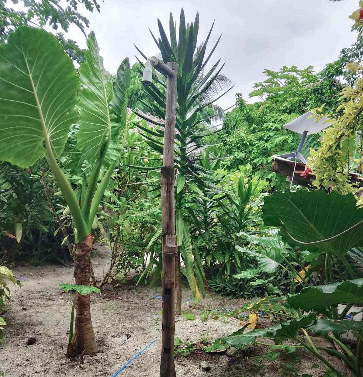 مبيت وإفطار San Isidro  Coleto Siargao المظهر الخارجي الصورة
