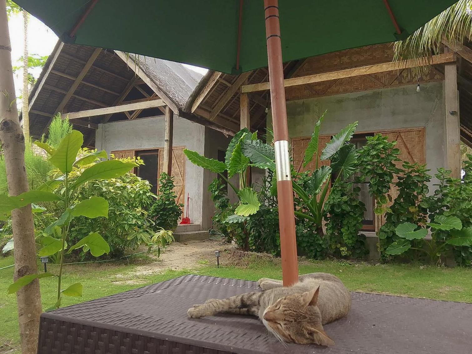 مبيت وإفطار San Isidro  Coleto Siargao المظهر الخارجي الصورة