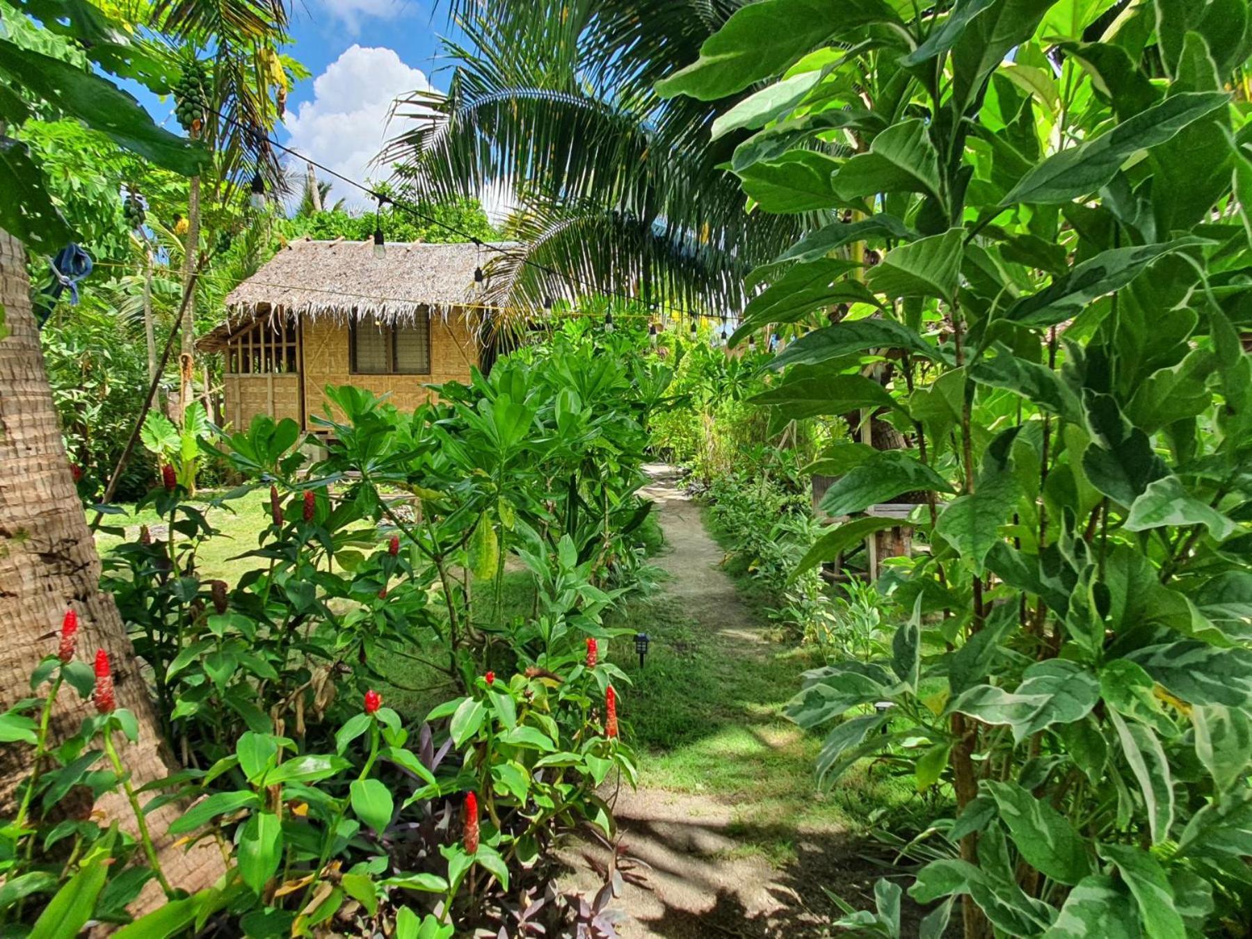 مبيت وإفطار San Isidro  Coleto Siargao المظهر الخارجي الصورة